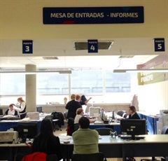 Informes - Receptoría de expedientes
